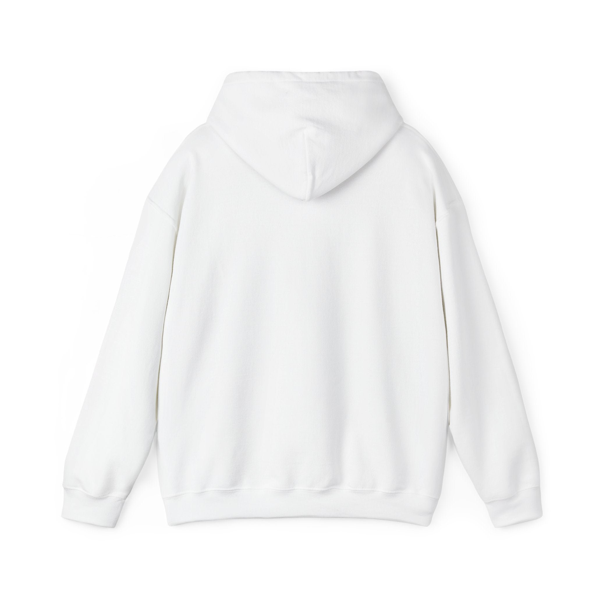 She's From Texas Hoodie | Lone Star, Southern Cowgirl Pride