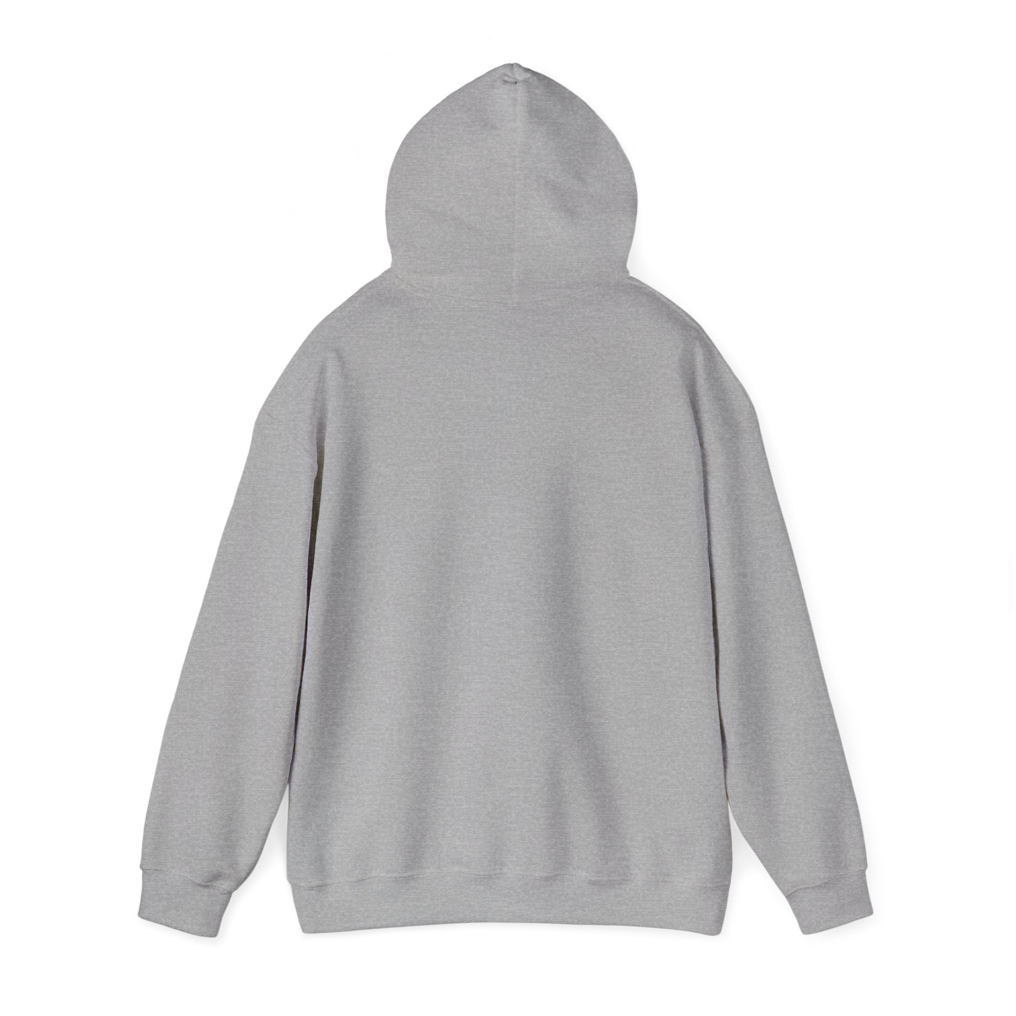 Off to Watch the Game Hoodie | soccer watch party, cozy hoodie