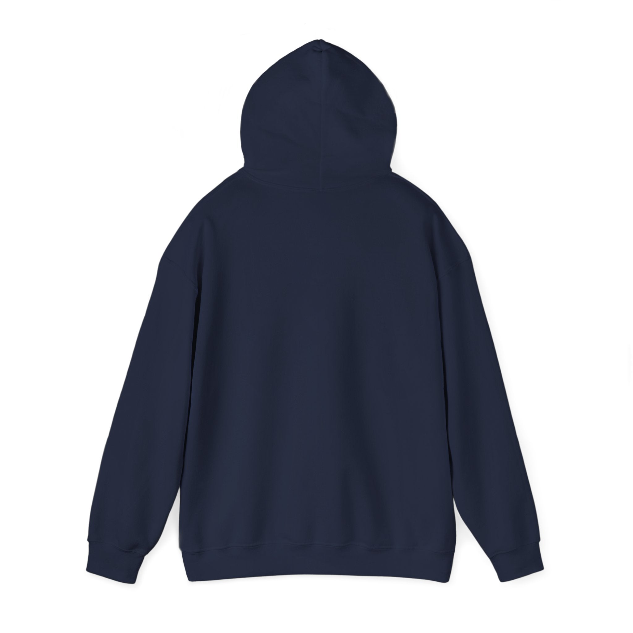 She's From Texas Hoodie | Lone Star, Southern Cowgirl Pride