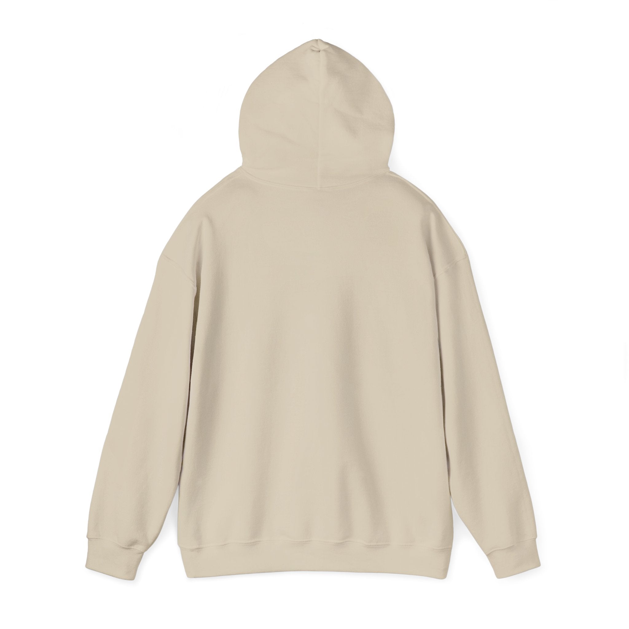 Off to Watch the Game Hoodie | soccer watch party, cozy hoodie