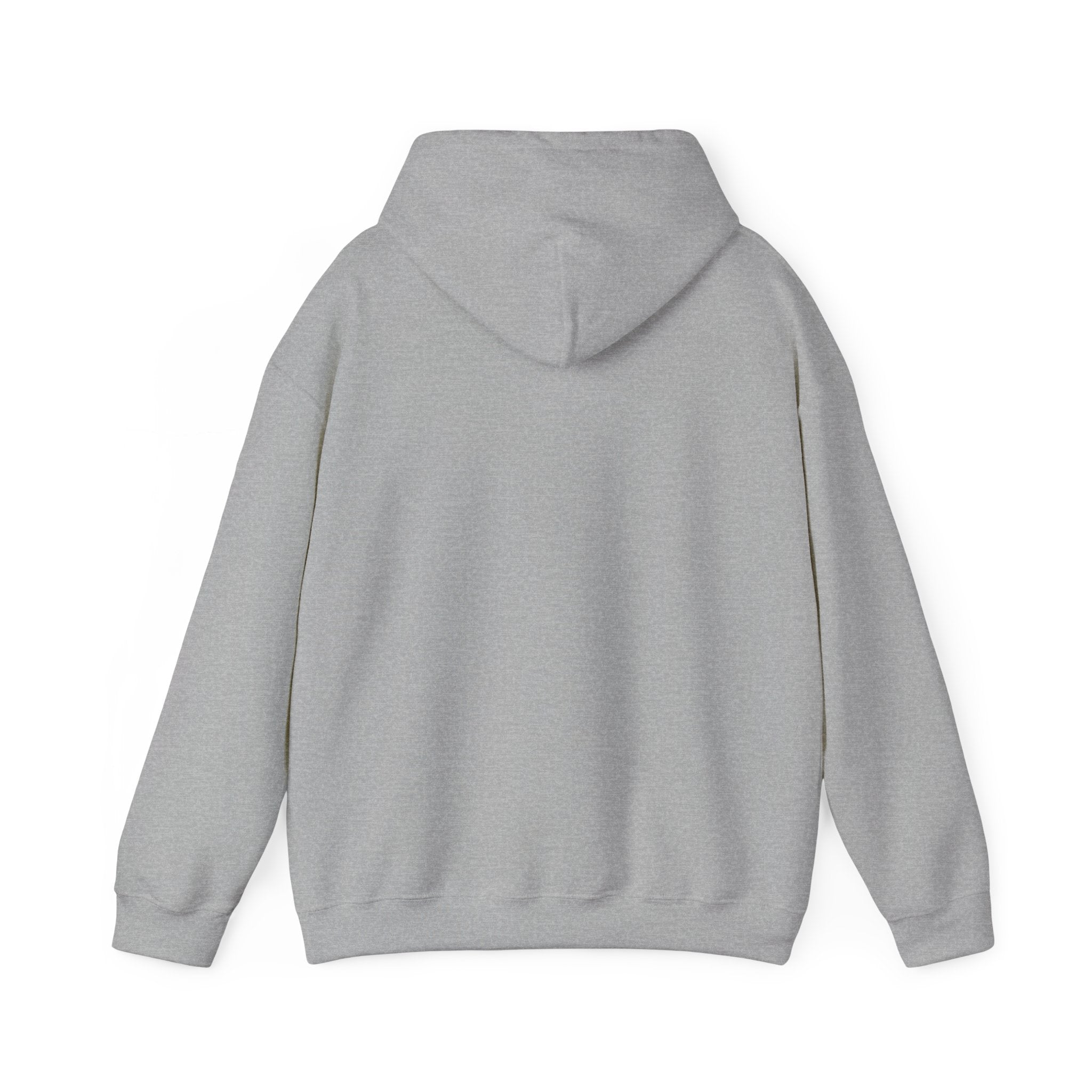 She's From Texas Hoodie | Lone Star, Southern Cowgirl Pride
